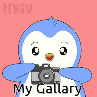 Animated Gif Gallery